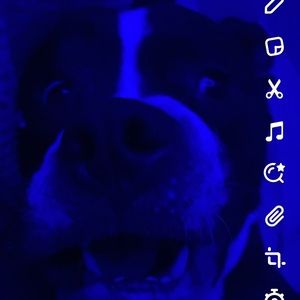 Meet your Posher, Lawrence